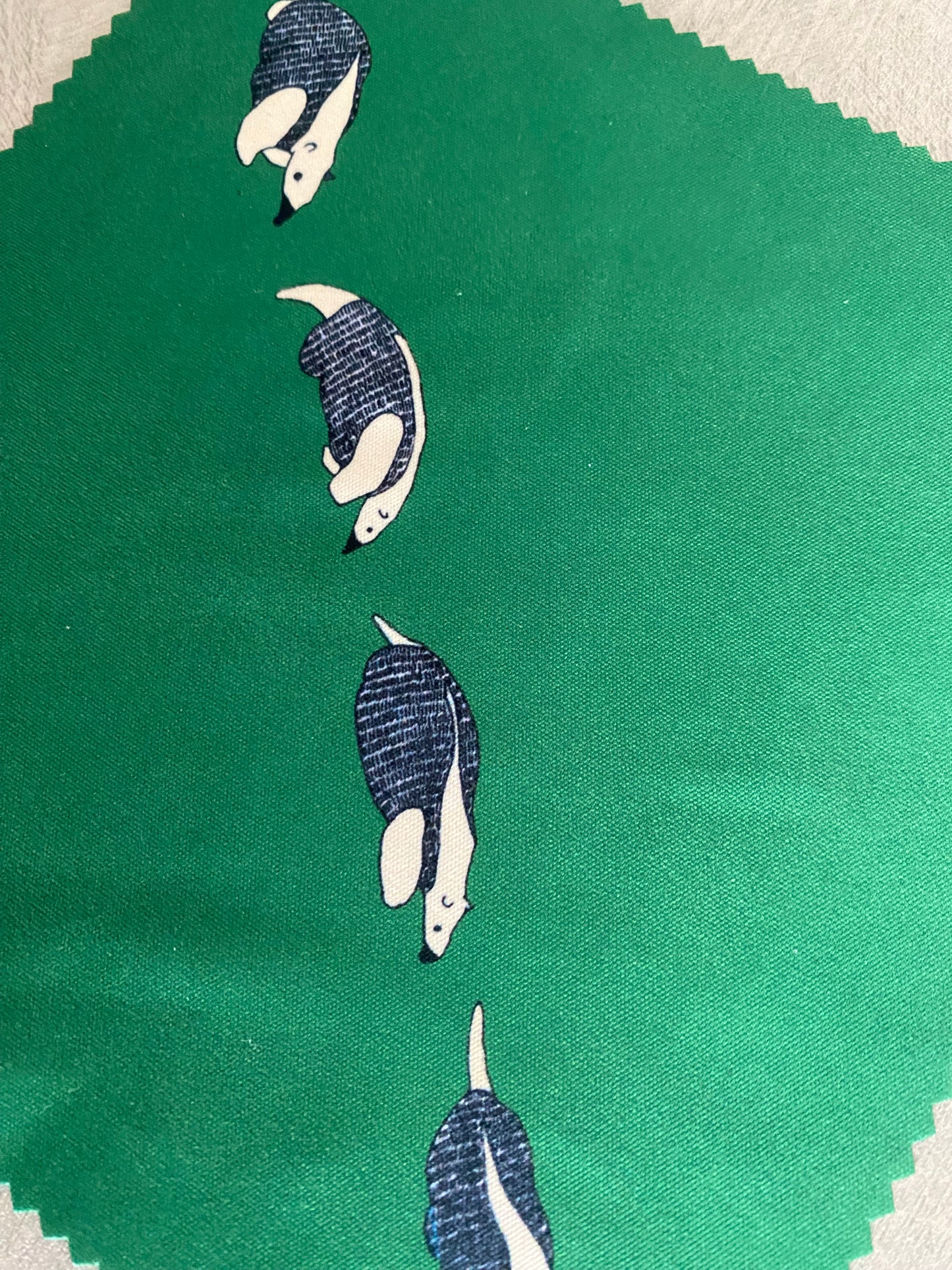 ミナミコアリクイのメガネふき