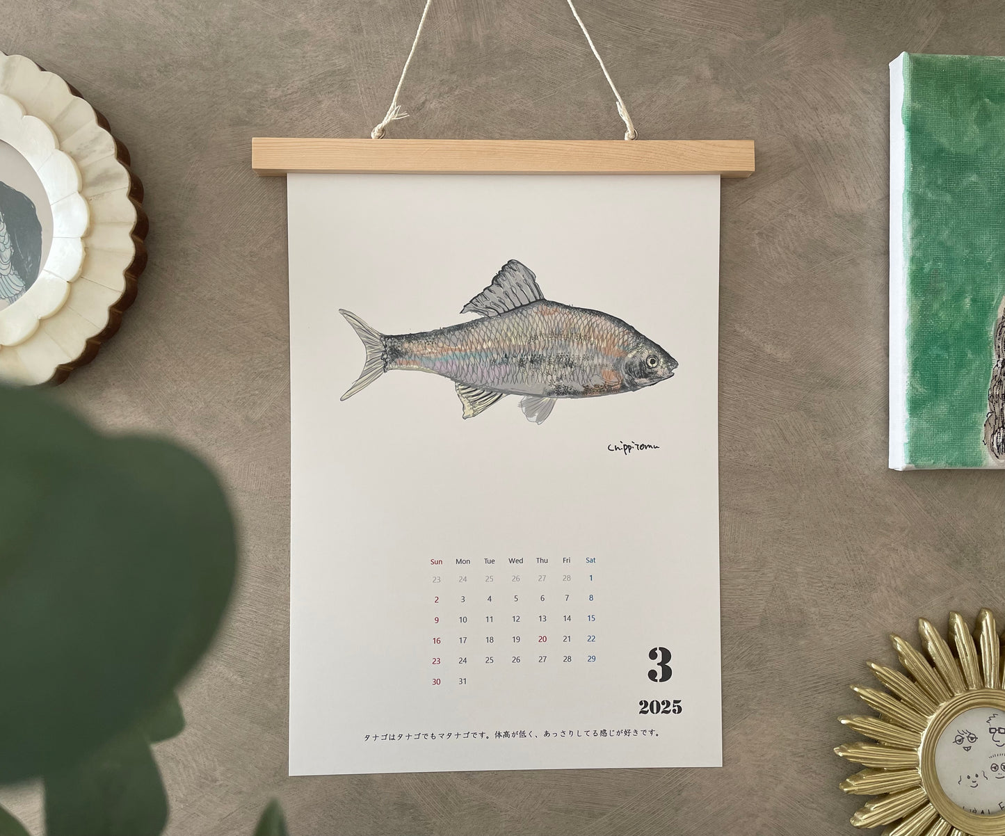 【木枠なし】淡水魚カレンダー2025