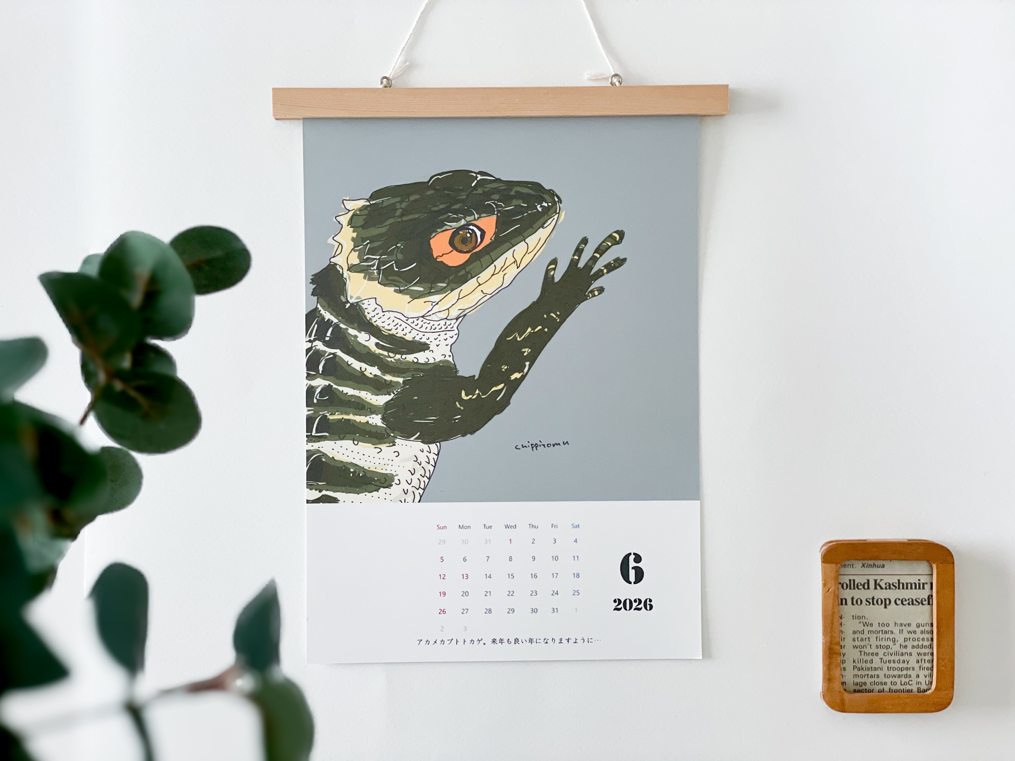 スケイル　Scale 爬虫類両生類情報誌 B312097C-3F49-40D9-89EF-