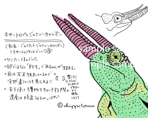 無の生き物ロール付箋