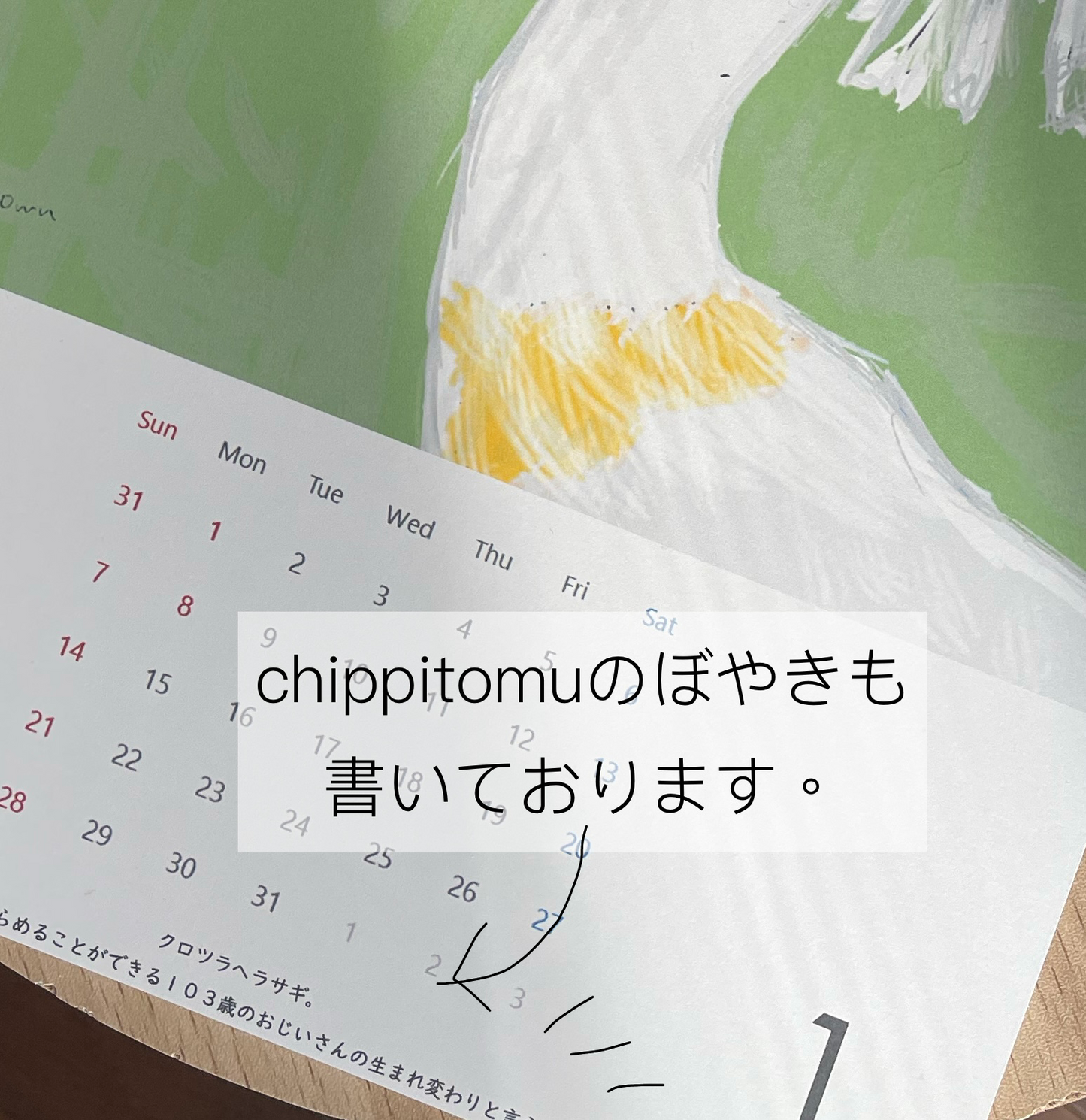 【卓上】4月はじまり 無の動物たちカレンダー2024 爬虫類編