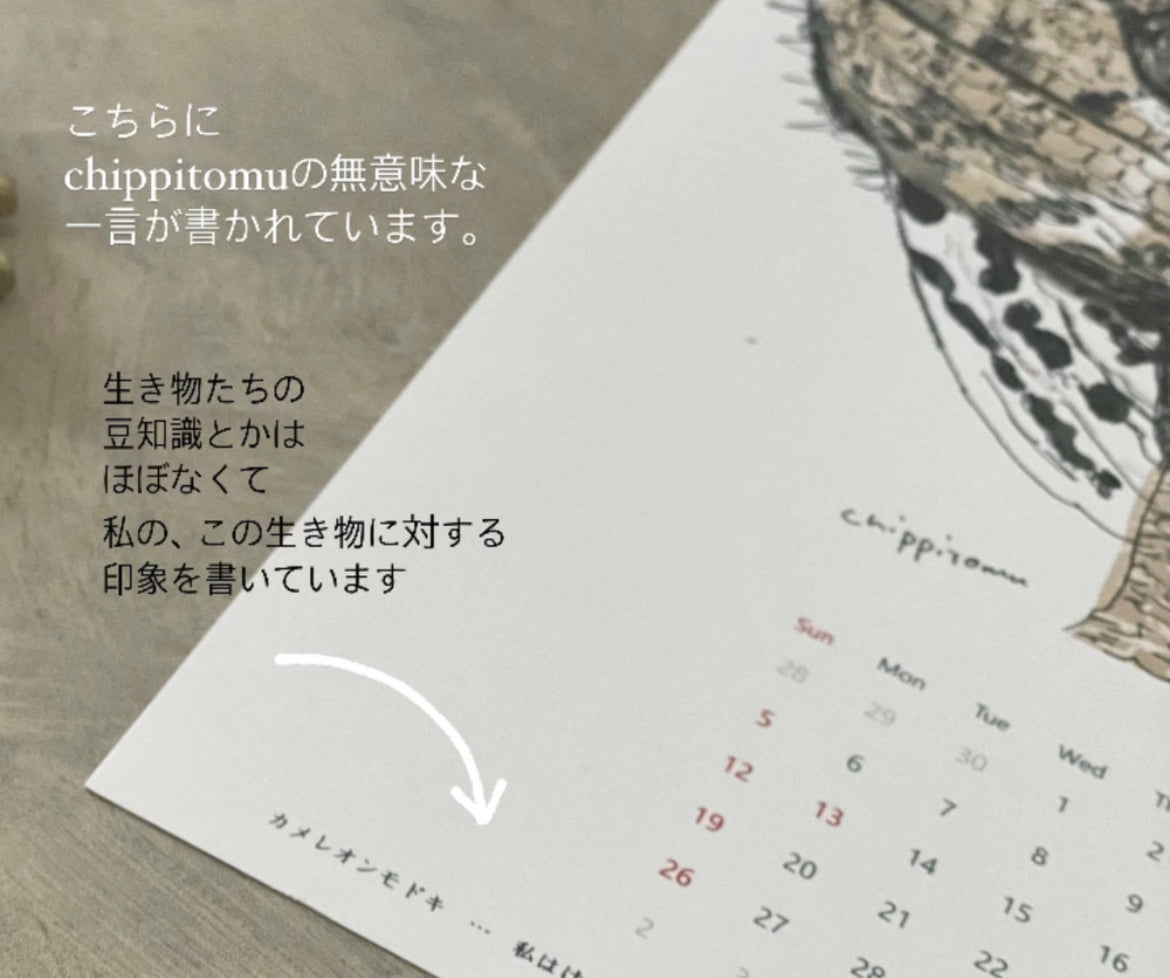 猛禽類カレンダー 2026 A4サイズ