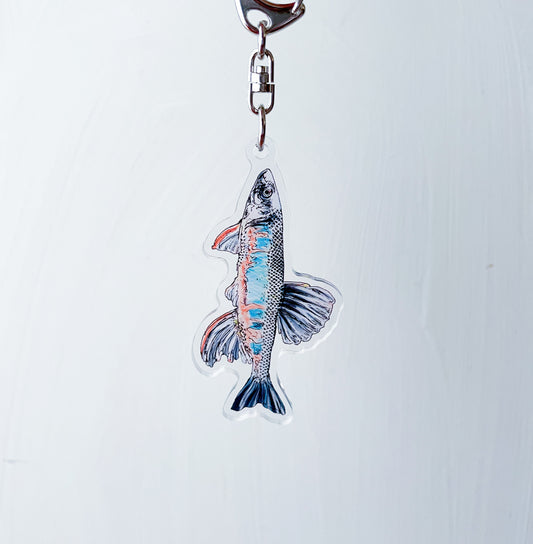 オイカワのキーホルダー