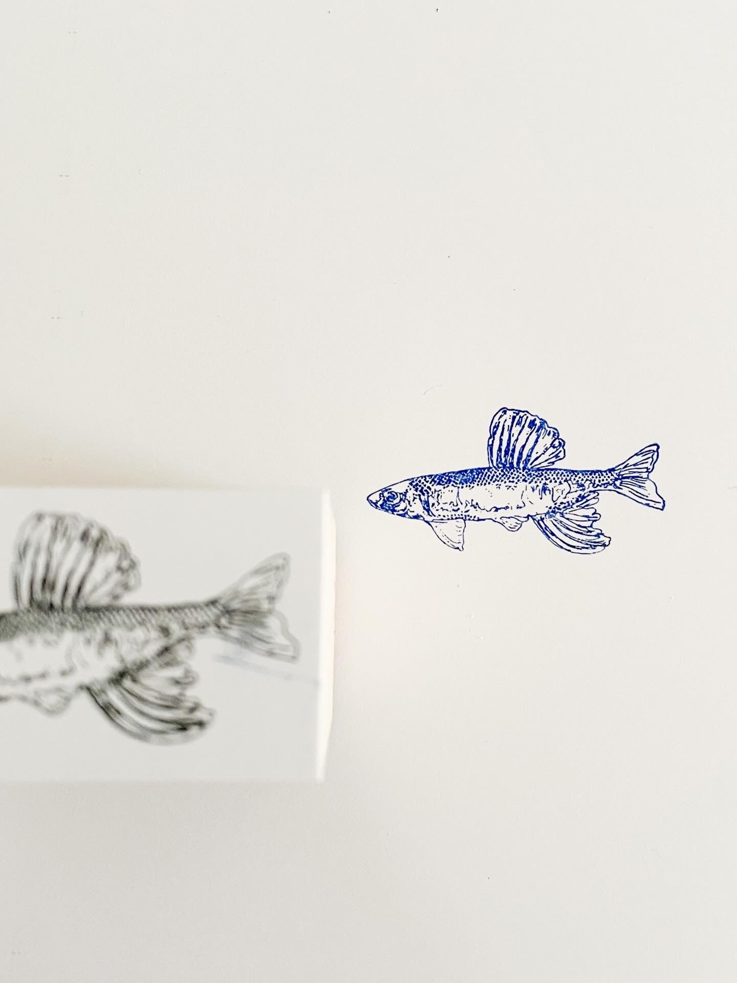 stationery