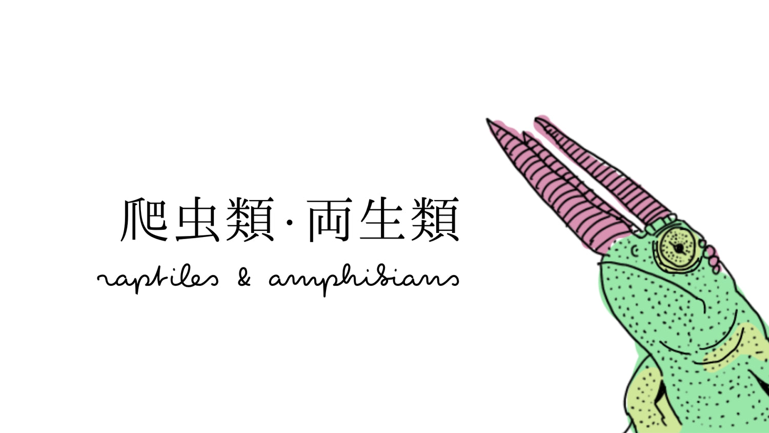 爬虫類両生類