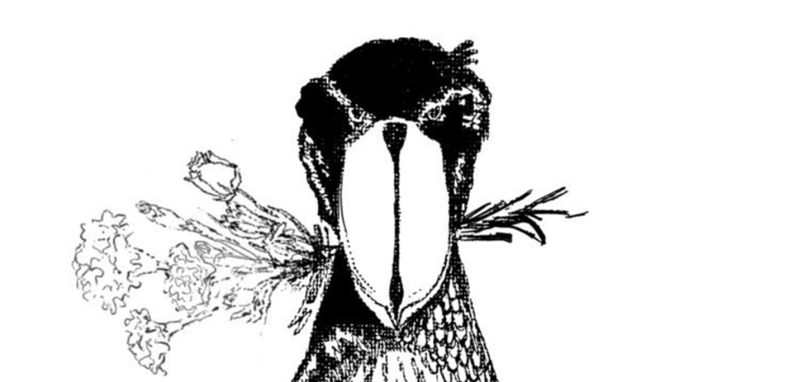 ハシビロコウとカーネーション【複製画】