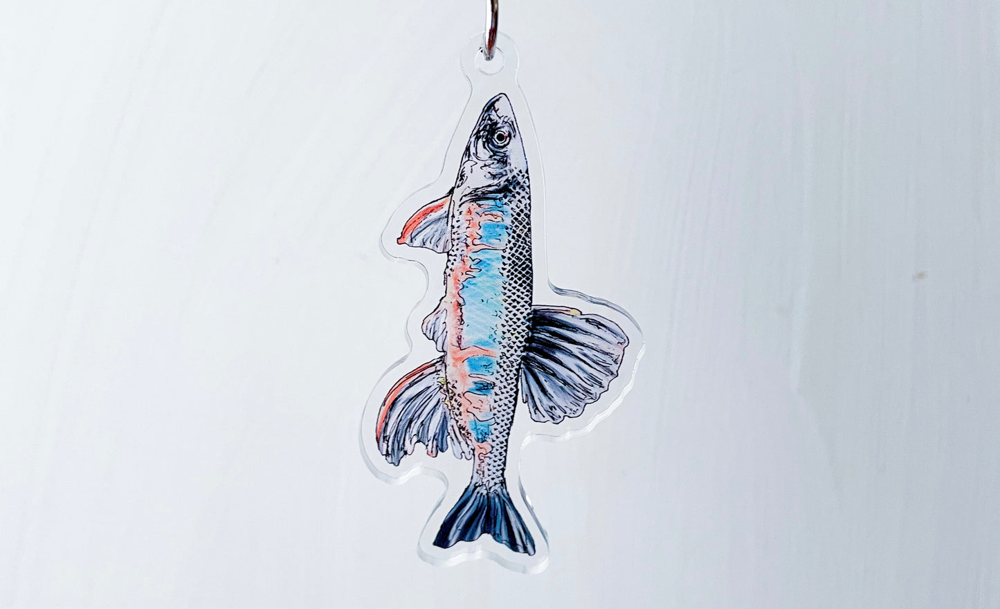 オイカワのキーホルダー