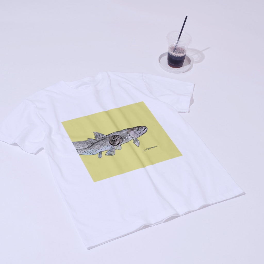 アメマスのTシャツ