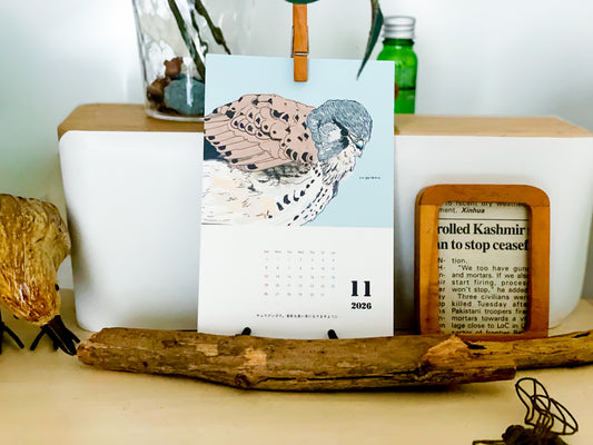 猛禽類カレンダーポストカードサイズ