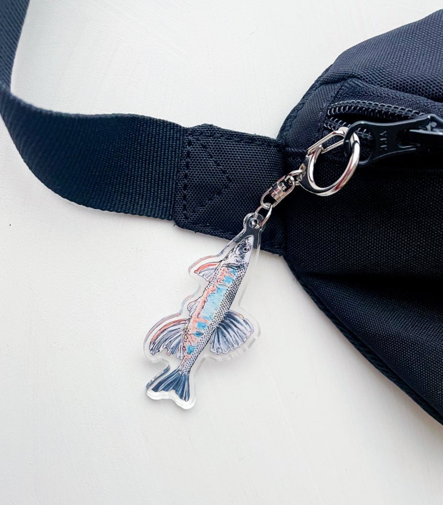 オイカワのキーホルダー