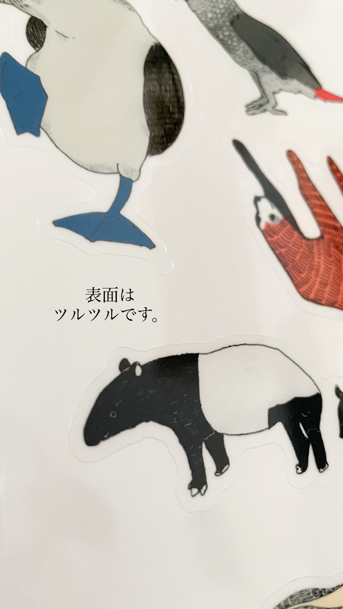 無の生き物クリアシール