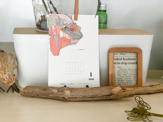 爬虫類両生類カレンダーポストカードサイズ