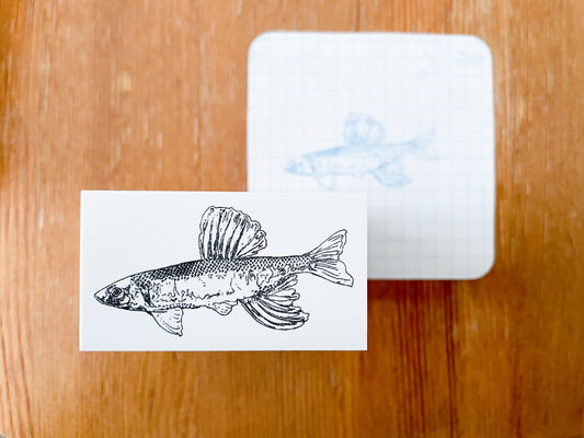 キラキラ泳ぐオイカワのはんこ【大】