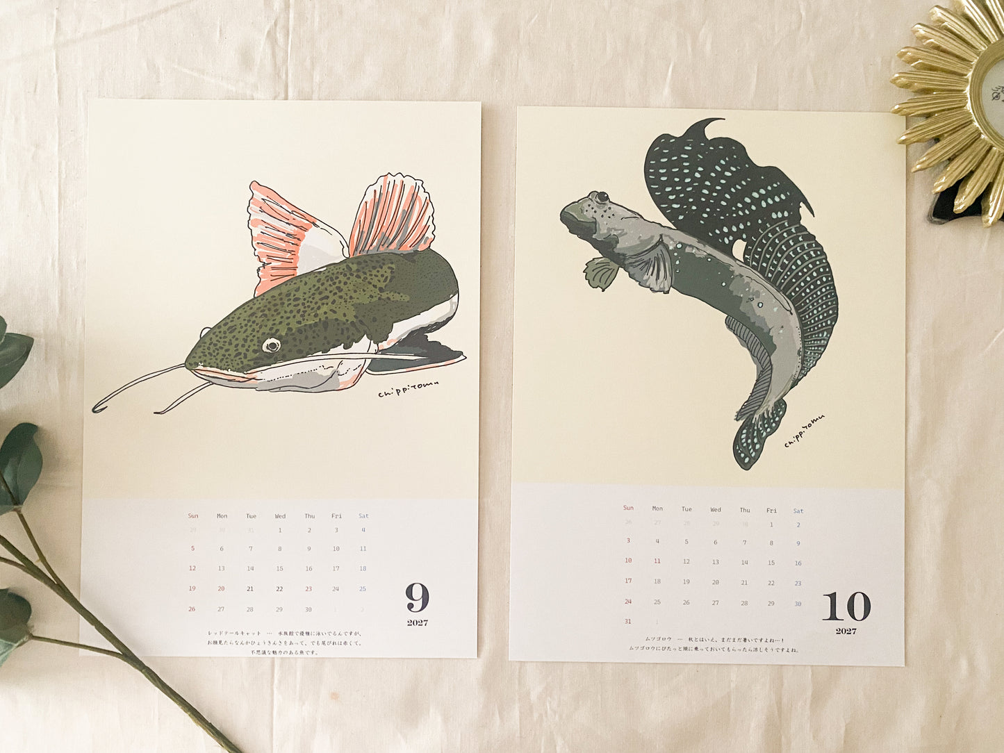 変わった形の魚たちのカレンダー2027