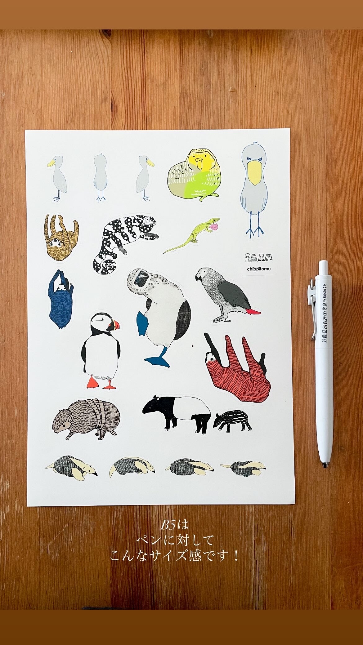 無の生き物クリアシール