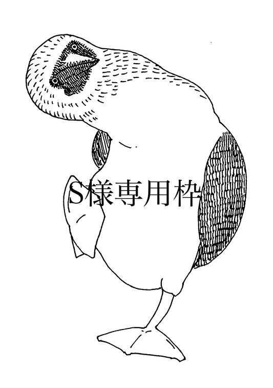 S様専用枠